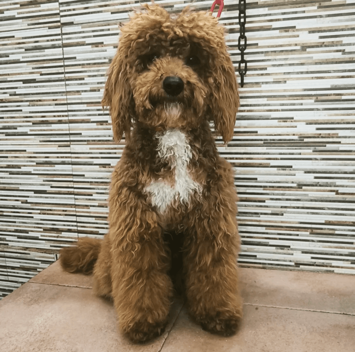 Imagen 1 del después