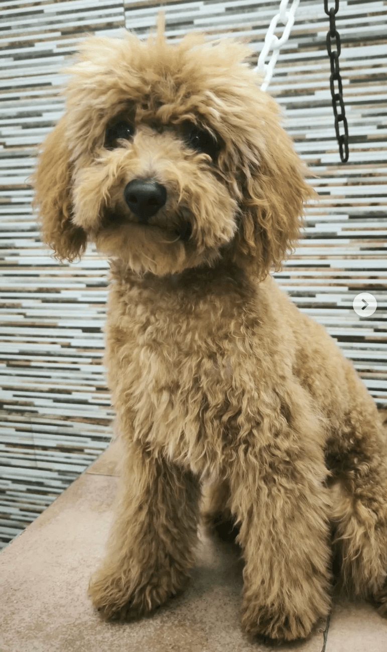 Imagen 3 del después